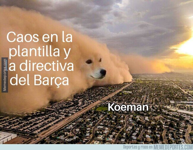 1114566 - Pobrecito Koeman