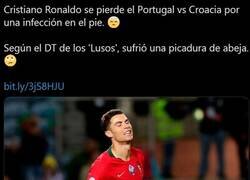 Enlace a Cristiano se pierde el partido contra Croacia por una abeja. O así se excusó.