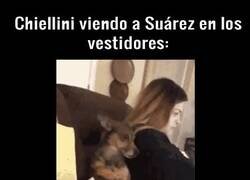 Enlace a Que mercado de pases tan extraño