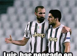 Enlace a Chiellini quiere evitar ser mordido