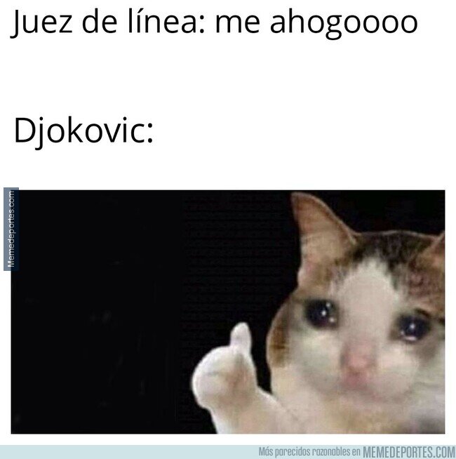 1115233 - Página negra en el palmarés de Djokovic