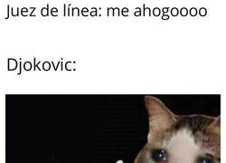 Enlace a Página negra en el palmarés de Djokovic