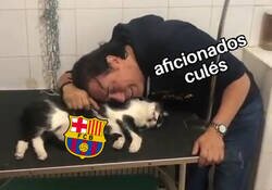 Enlace a ¿Están vivos?