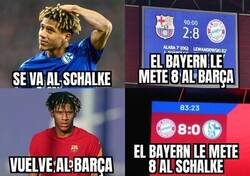 Enlace a Todibo esquiva la tormenta bávara