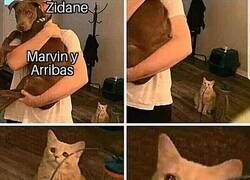 Enlace a Zizú prefirió tirar de cantera