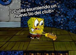 Enlace a Esto no ha hecho más que empezar