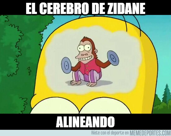 1116278 - Si es que piensa