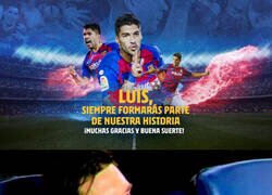 Enlace a Ya se le fue Luisito...