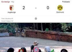 Enlace a El Bayern no necesita de estas ayudas