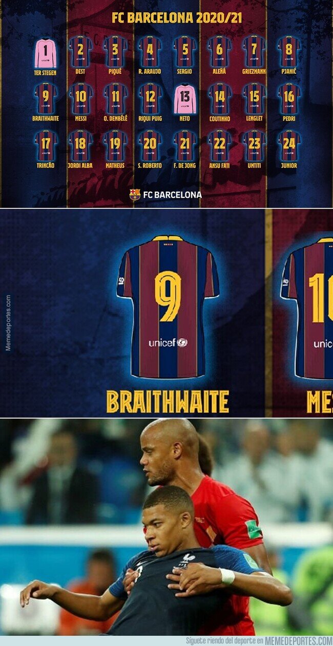 1117345 - El dorsal de Braithwaite
