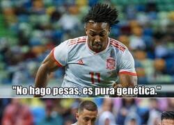 Enlace a La genética es muy injusta