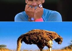 Enlace a ¿Qué necesidad hay de hacer declaraciones como estas?