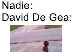 Enlace a ¿A dónde vas, animal?