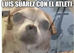 Enlace a Menuda pesadilla