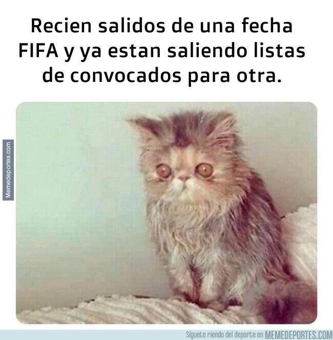 1118699 - Recién me estaba acomodando