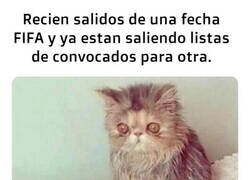 Enlace a Recién me estaba acomodando