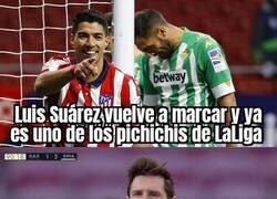 Enlace a Algunos ya lo echan en falta