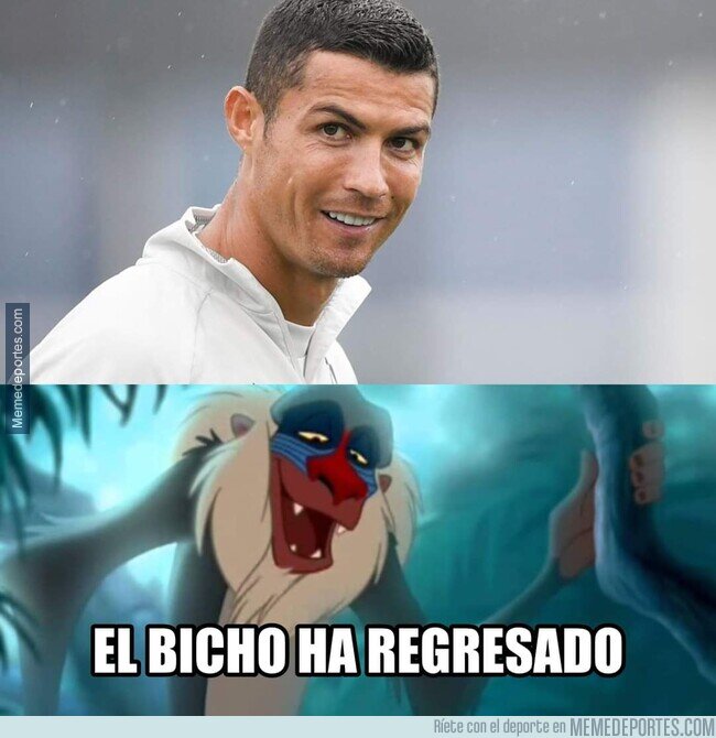 1119434 - Adiós Covid, hola Bicho