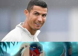 Enlace a Adiós Covid, hola Bicho