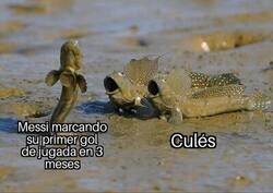 Enlace a Fácilmente impresionables