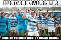 Enlace a Felicitaciones a los Pumas