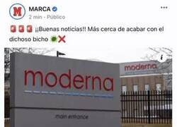 Enlace a El fin del bicho