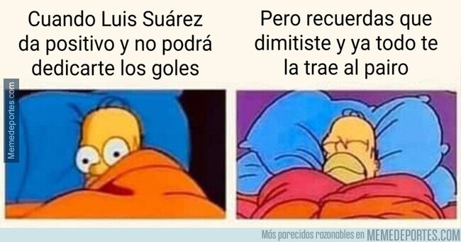 1120560 - Mientras tanto, Bartomeu en su casa