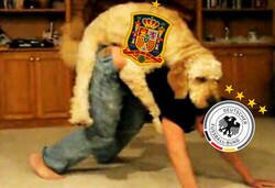 Enlace a Parecíamos poca cosa pero ahí estamos