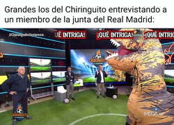 Enlace a La dinojunta