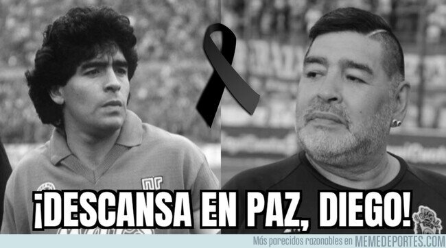 1121111 - Hasta siempre, Pelusa