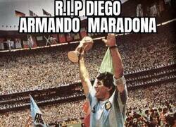 Enlace a Hasta siempre Maradona