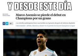 Enlace a La maldición del grano