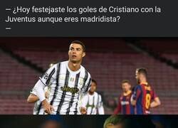 Enlace a Gracias bicho