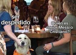 Enlace a Vaya jardín se ha metido