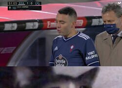 Enlace a Una baja sensible para los vigueses