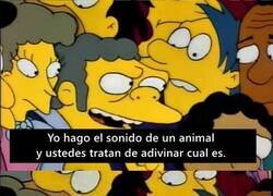 Enlace a ¿Qué animal es?