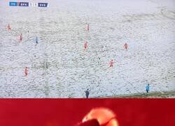 Enlace a En esta foto hay jugadores de blanco. Encuéntralos a todos
