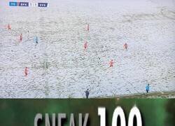 Enlace a Menudos ninjas