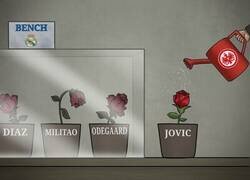 Enlace a Tan solo hay que ponerlos, por @zezocartoons