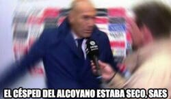 Enlace a Menudo marrón para Sisú