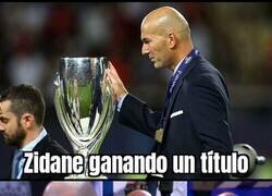 Enlace a Este Zizú...