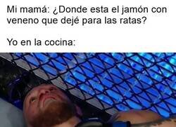 Enlace a ¿Qué hiciste, mamá?