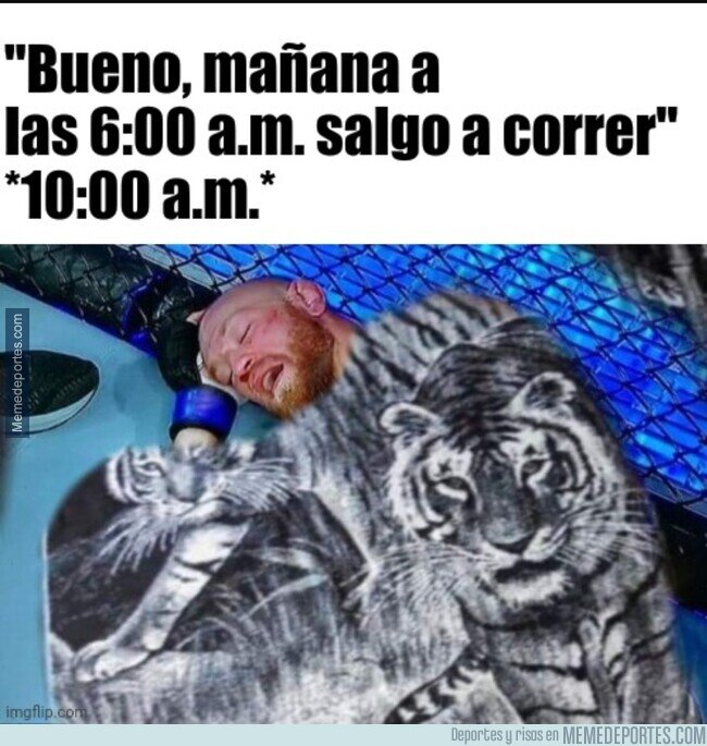 1126342 - Mejor seguir durmiendo