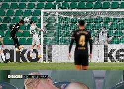 Enlace a Disculpa, no te vi