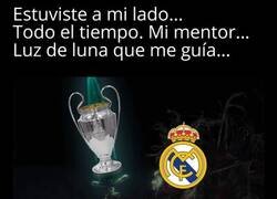 Enlace a Última oportunidad, a la desesperada