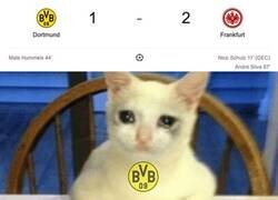 Enlace a Otra derrota para el Dortmund