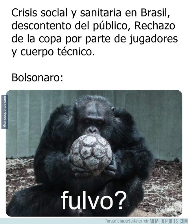 1137111 - Brasil tampoco esta para acoger torneos ahora. Pero su presidente es el Trump de Sudamérica