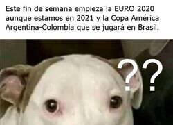 Enlace a Tiempos muy confusos