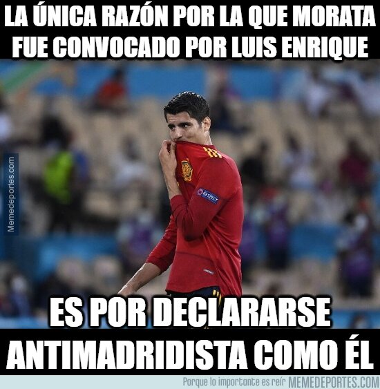1137489 - Ahora todo tiene sentido