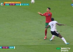 Enlace a ¡Ay mi madre el bicho!